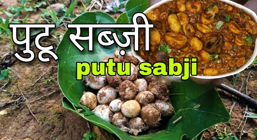Rugda Puto झारखंड का सबसे कीमती सब्जी रुगडा पुटू | Most expensive rugda vegetable of Jharkhand