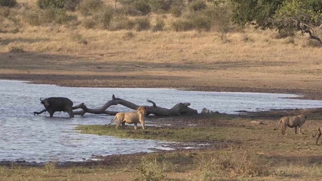 Pamed Wildlife sanctuary 