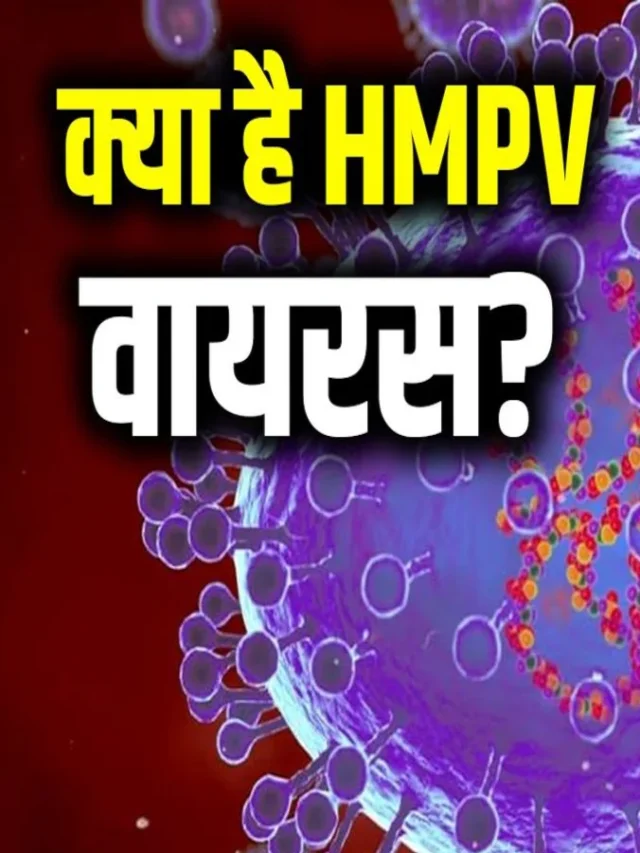 hmpv4